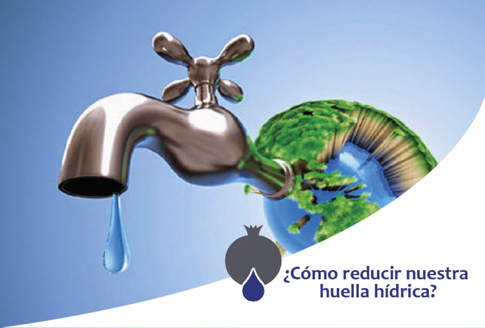 ¿Cómo reducir nuestra huella hídrica?