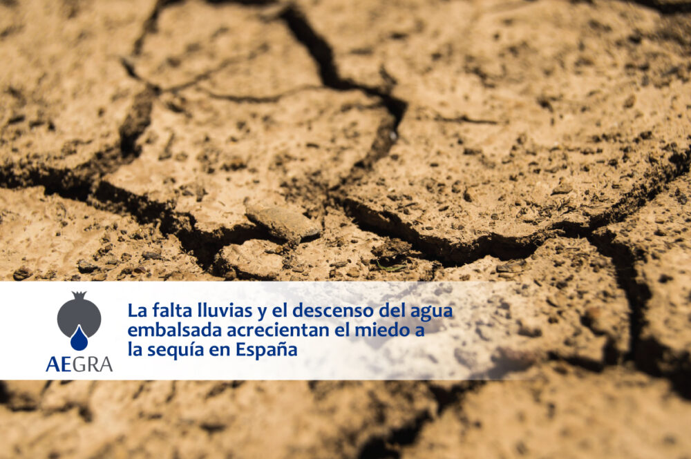 La falta lluvias y el descenso del agua embalsada acrecientan el miedo a la sequía en España