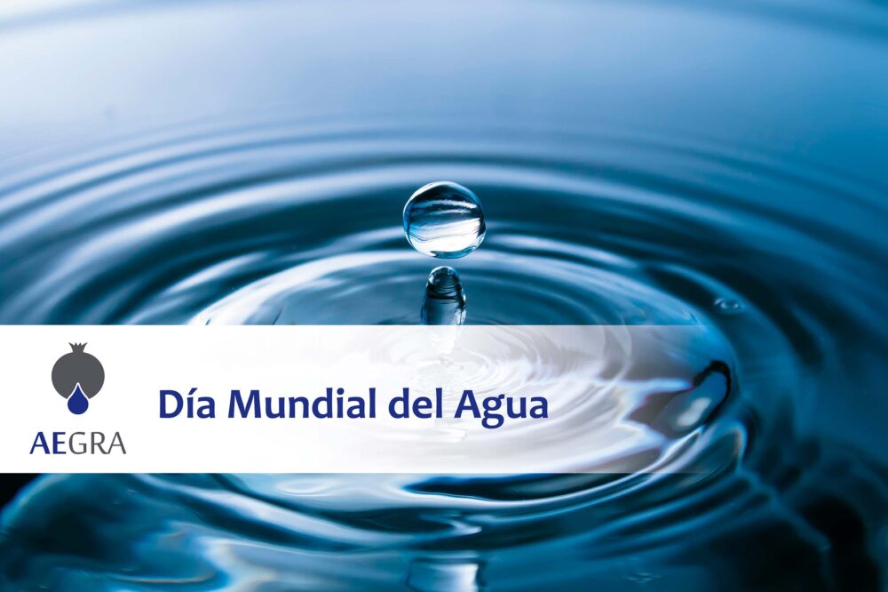 Día Mundial del Agua