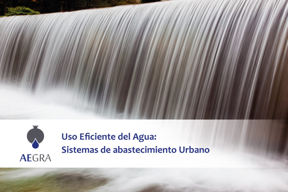 Uso Eficiente del Agua: Sistemas de abastecimiento Urbano