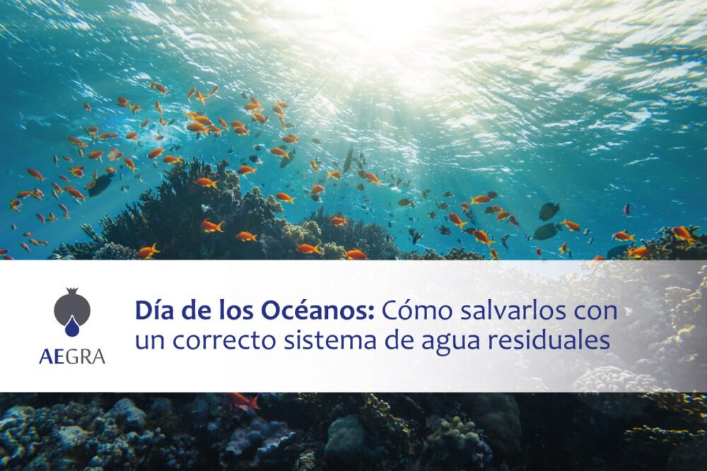 Día de los Océanos: Cómo salvarlos con un correcto sistema de agua residuales