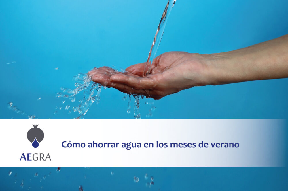 Cómo ahorrar agua en los meses de verano