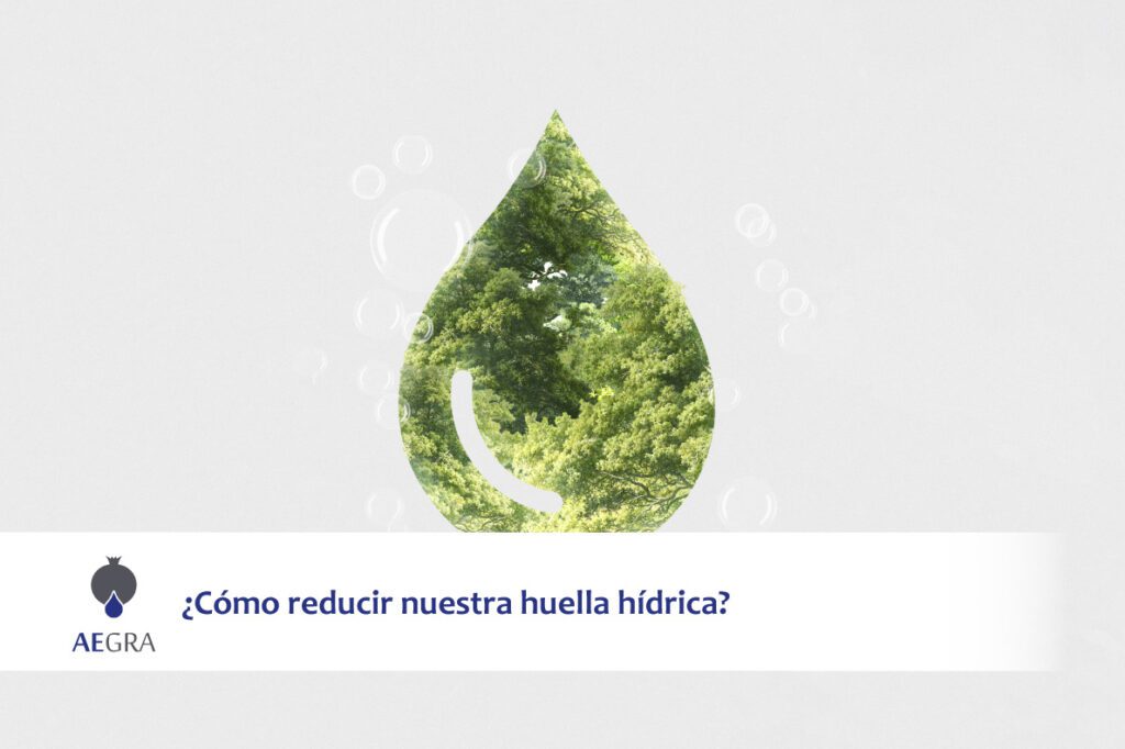 ¿Cómo reducir nuestra huella hídrica?