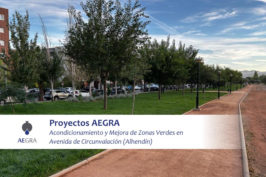 Acondicionamiento-y-Mejora-de-Zonas-Verdes-en-Avenida-de-Circunvalación-(Alhendín)